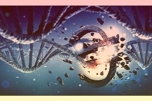 这些今年以来表现逊于大盘的股票在2021年尾实现了反弹